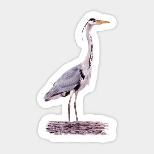 Grey Heron Sticker